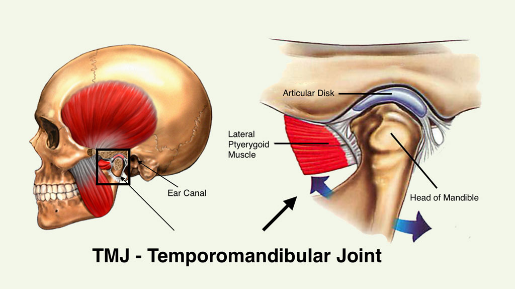 tmj joint location
